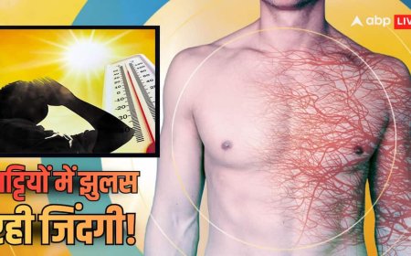 Explained: आंत-पेट में ऑक्सीजन पहुंचना बंद, शरीर में खून के थक्के और किस्सा खत्म! कितनी गर्मी झेलने के बाद कैसे हो जाती मौत?