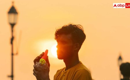 Body Parts In Danger From Heat: ज्यादा गर्मी से जल्दी बीमार होते हैं शरीर के ये अंग, इतनी बुरी हो जाती है हालत