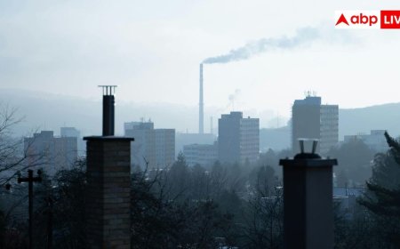 Air Pollution: प्रदूषण से कौन-कौन सी बीमारियां होती हैं? कैंसर से लेकर हार्ट अटैक तक का खतरा