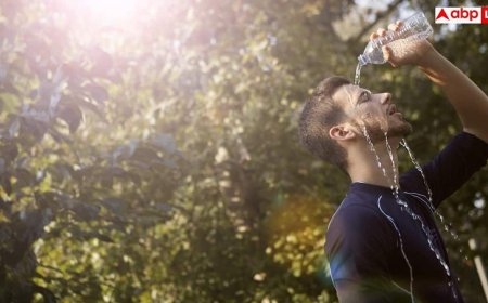 Heatwave Effects: 50°C की गर्मी में लोग क्यों हो जाते हैं ज्यादा गुस्सैल? साइंस ने बता दिया सच