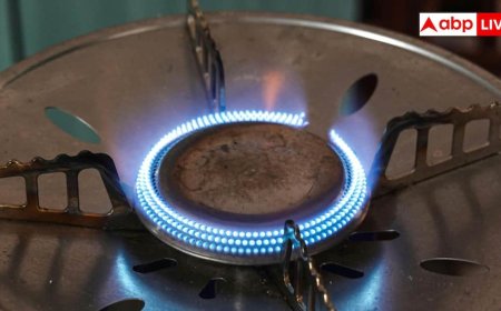 Ethanol Stove vs LPG Cylinder: एलपीजी सिलेंडर से कितना सस्ता है एथेनॉल चूल्हा, जानें कैसे काम करती है यह नई तकनीक?