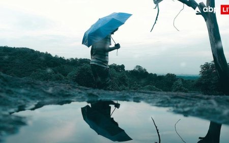 Monsoon Tracker: मॉनसून पर बड़ा खतरा! IMD की डराने वाली भविष्यवाणी- इस साल बारिश कम, गर्मी करेगी बेहाल