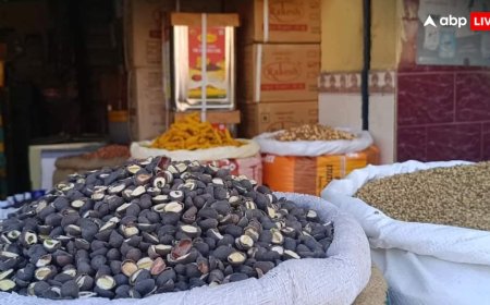 पेट्रोल-डीजल के दाम बढ़ने पर ट्रांसपोर्ट एसोसिएशन ने लिया बड़ा फैसला, लोगों की जेब पर बढ़ेगा अतिरिक्त बोझ