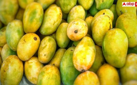 Mango And Blood Sugar: शुगर के मरीजों के लिए जहर नहीं है आम, एक्सपर्ट से जानें इसे खाने का बिल्कुल सही तरीका