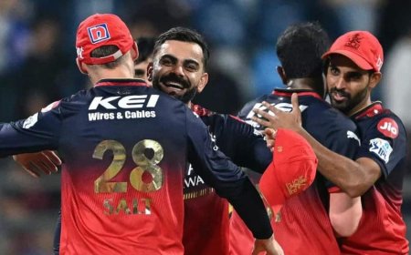 IPL 2026 के फाइनल से पहले RCB फैंस को झटका, सेलिब्रेशन पर लगा बैन!