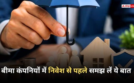 Insurance Stocks: सिर्फ प्रीमियम देखकर न खरीदें बीमा कंपनियों के शेयर, निवेश से पहले चेक करें ये कड़े नियम