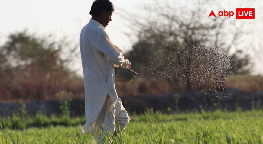 Top Agriculture University in India : ये हैं भारत की टॉप एग्रीकल्चर यूनिवर्सिटी, दाखिले के बाद मिलेगा लाखों का पैकेज