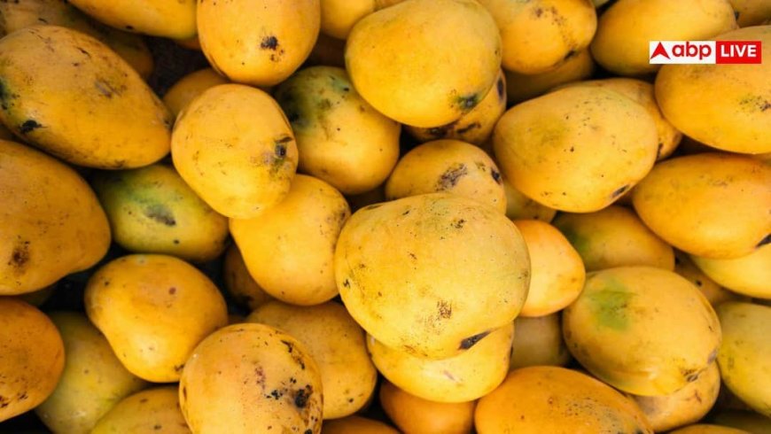 Mango And Body Heat: क्या ज्यादा आम खाने से सच में बढ़ती है शरीर की गर्मी? डॉक्टर से जानें सच
