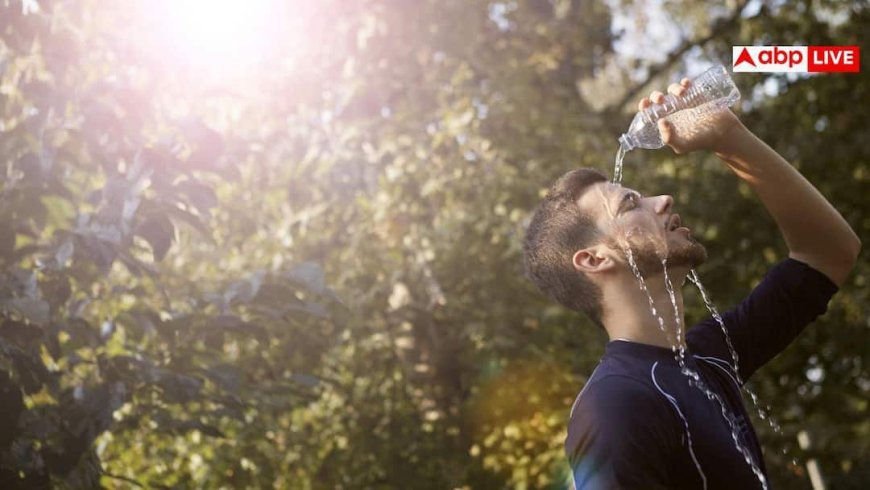 Heat Stroke Symptoms: लू लगने से पहले ये संकेत देता है हमारा शरीर, भूलकर भी न करें नजरअंदाज