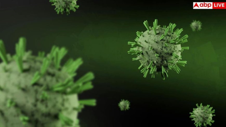 Hantavirus Infection: क्या आपके घर में भी हैं चूहे? जानलेवा 'हंता वायरस' को लेकर डॉक्टरों ने क्या कहा?