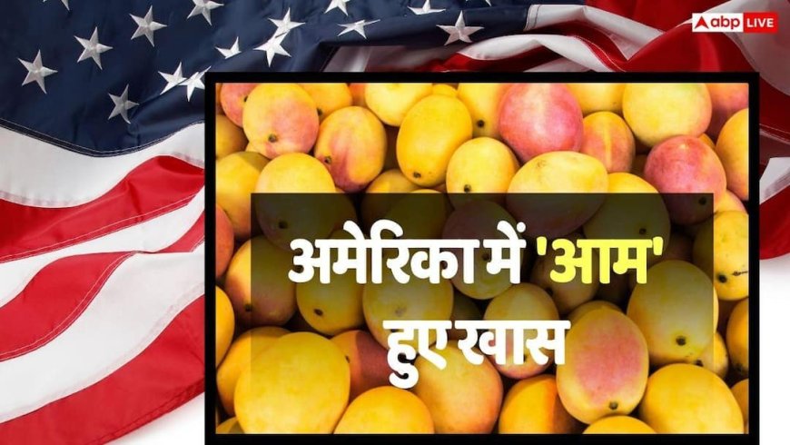 Indian Mango: अमेरिका में मिनटों में बिक रहे भारत के आम, अल्फांसो और केसर का दिखा जबरदस्त क्रेज! खत्म हुए स्टॉक