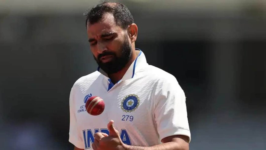 टीम इंडिया पर बड़ा फैसला लेने की तैयारी में BCCI, मोहम्मद शमी 3 साल बाद आएंगे वापस!