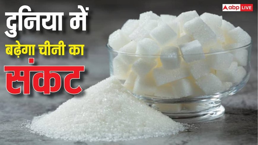 Global Sugar Effect: सरकार ने रोक दिया चीनी का एक्सपोर्ट, भारत के इस फैसले से दुनिया पर पड़ेगा भारी असर, लेकिन...