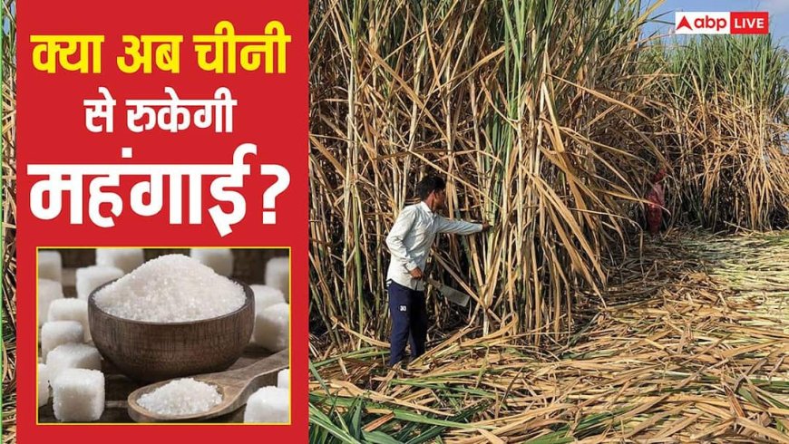 Sugar Export: चीनी पर सरकार टेंशन में क्यों? स्टॉक भरपूर फिर क्यों अपनाया प्रोटेक्शन मोड? जानें निर्यात बैन की वजह