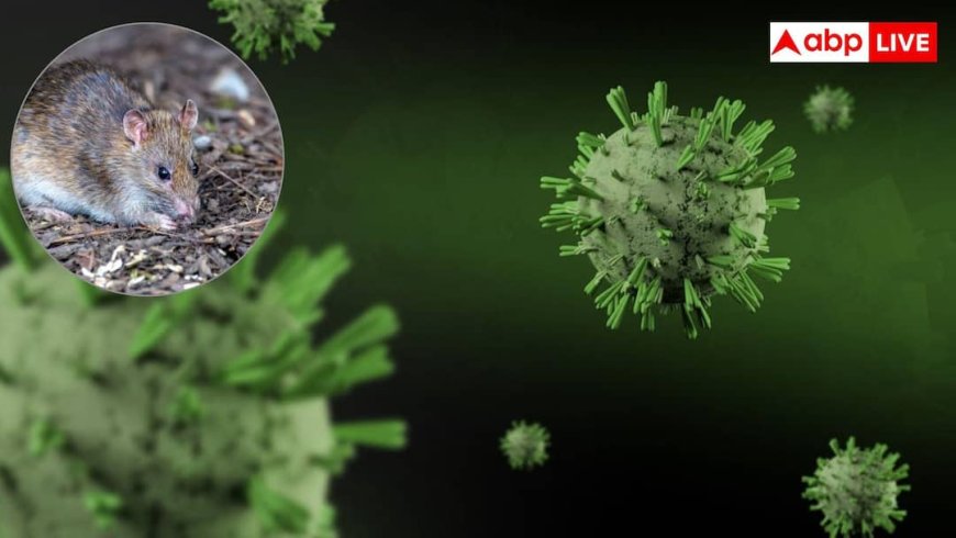 Hantavirus Outbreak: बदलते मौसम के साथ तेजी से फैल रहा हंतावायरस वायरस, क्लाइमेट चेंज का नया खतरा