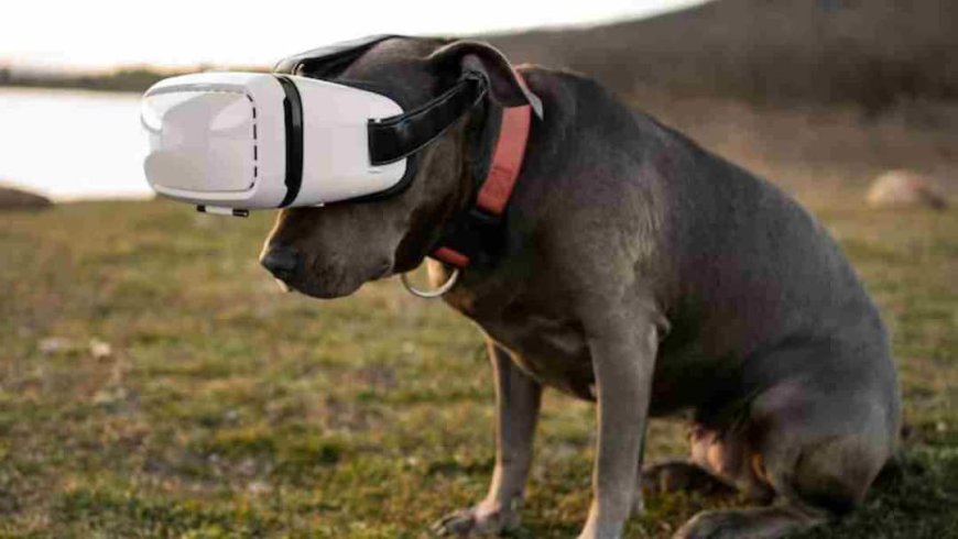 Pet Safety का नया जुगाड़! ये 5 Smart Gadgets आपके Pet पर रखेंगे पल-पल नजर, नहीं रहेगा चोरी होने का डर