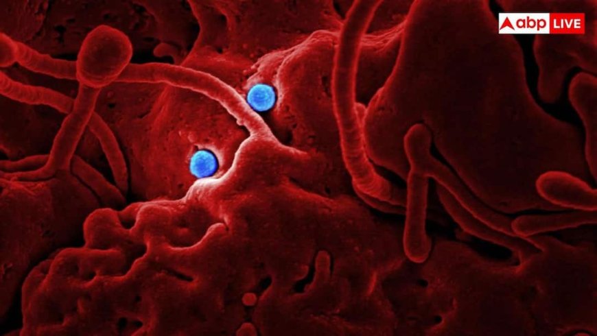 Africa Ebola outbreak: अफ्रीका में बढ़ते Ebola केसों के बीच भारत की एंट्री, Bundibugyo वैक्सीन बनाने में जुटा सीरम इंस्टीट्यूट