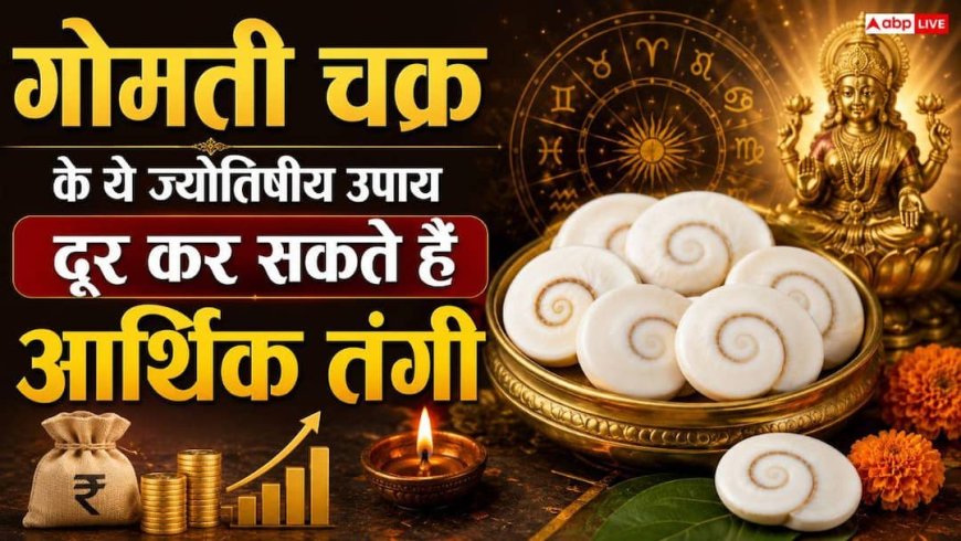 Gomati Chakra: जेब में रखें बस 1 गोमती चक्र, हर इंटरव्यू और बिजनेस में मिलेगी सफलता