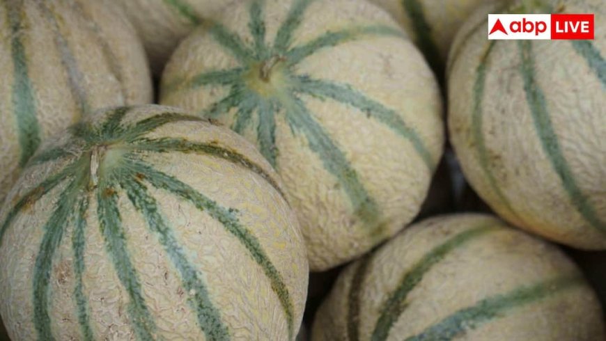 Sweet Muskmelon Buying Tips: खरबूजा मीठा है या नहीं... खरीदने से पहले ऐसे करें चेक, जान लें तरीका