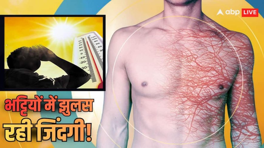 Explained: आंत-पेट में ऑक्सीजन पहुंचना बंद, शरीर में खून के थक्के और किस्सा खत्म! कितनी गर्मी झेलने के बाद कैसे हो जाती मौत?