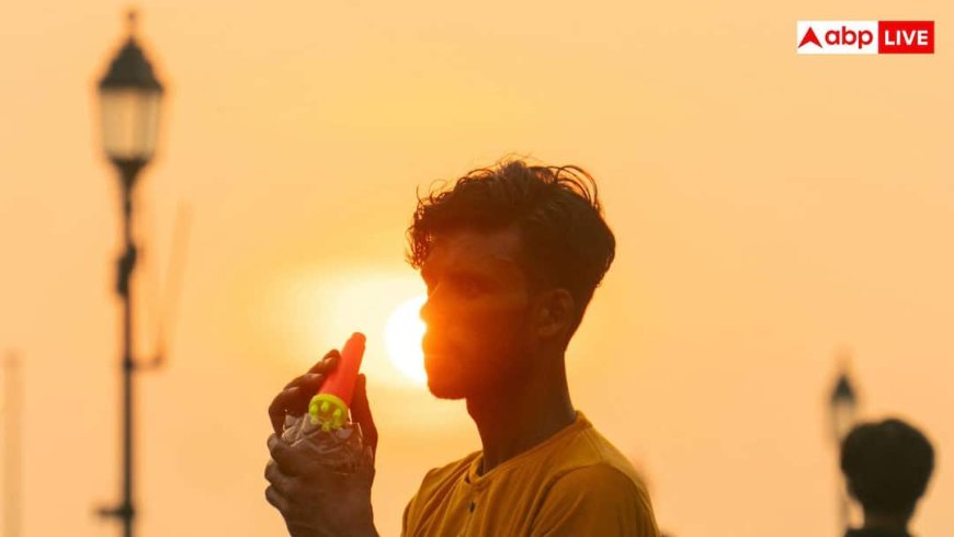 Body Parts In Danger From Heat: ज्यादा गर्मी से जल्दी बीमार होते हैं शरीर के ये अंग, इतनी बुरी हो जाती है हालत