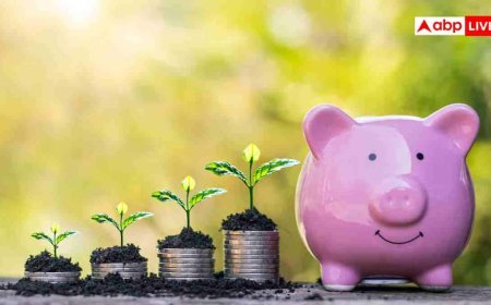 Financial Rules: अमीर बनना है तो गांठ बांध लें निवेश के ये 7 सुनहरे नियम, बदल जाएगी आपकी किस्मत