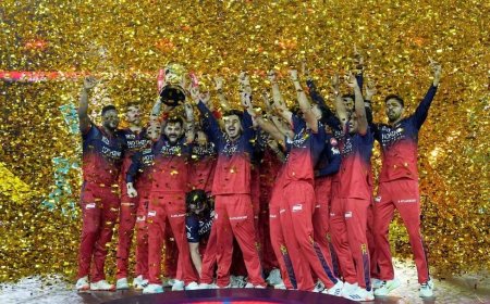 चैंपियन बनने के एक दिन बाद RCB प्लेयर पर लगा बैन, BCCI ने इस हरकत पर सुनाई सजा