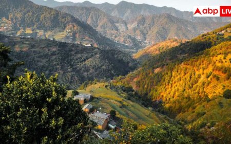 Cool Places Near Delhi: दिल्ली की तपती गर्मी से चाहिए राहत? ये 5 जगहें गर्मियों में भी रहती हैं 25°C से नीचे