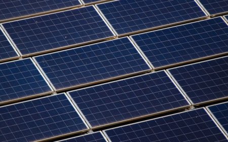 Solar Energy System पर लगाने से पहले डिसाइड कर लें चीजें, नहीं तो बर्बाद हो सकते हैं पैसे