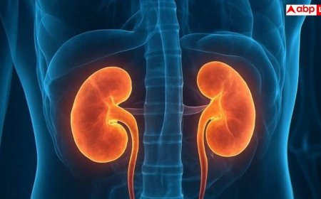 Kidney Disease: 2040 तक मौत का 5वां बड़ा कारण बनेगी किडनी की बीमारी, लैंसेट की रिपोर्ट में डरावना खुलासा
