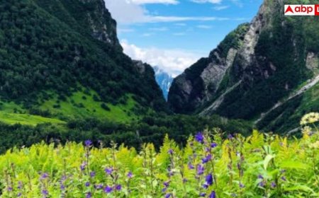 Valley Of Flowers: पर्यटकों के लिए खुली फूलों की घाटी, जानें ट्रेकिंग का सही समय और जरूरी बातें