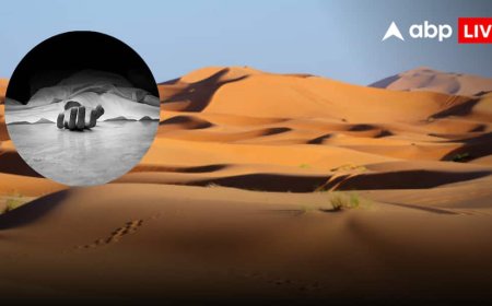 Sahara Desert Death: सहारा रेगिस्तान में दर्दनाक हादसा! ट्रक खराब होने के बाद प्यास से 49 मौत, 50 KM पैदल चलकर बचे सिर्फ 2