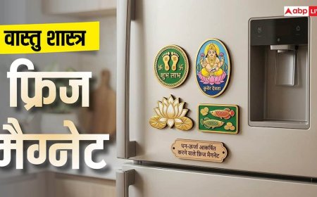 Vastu Tips: वास्तु अनुसार रेफ्रिजेरेटर पर चिपाएं ये फ्रिज मैग्नेट, धन-ऊर्जा होगी आकर्षित