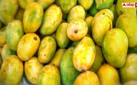 Rotten Mangoes: सावधान! मार्केट में बिक रहा सड़े और कीड़ों वाले आम का जूस, हो सकती है ये गंभीर बीमारी