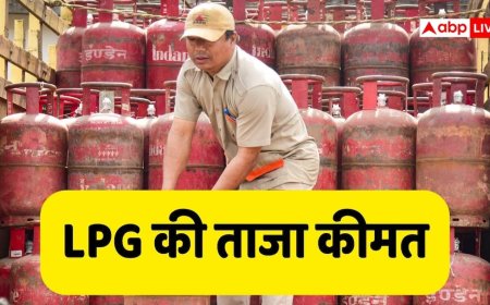 LPG Price Today: आज कितनी है 14.2 किलो वाले घरेलू सिलेंडर की कीमत? कमर्शियल सिलेंडर का भी चेक करें रेट