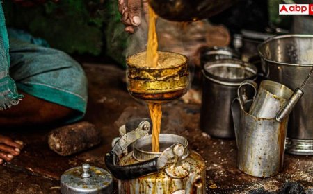 How To Clean A Tea Strainer: चाय छानते-छानते बंद हो गए हैं छलनी के छेद, ऐसे करें एकदम नई जैसी