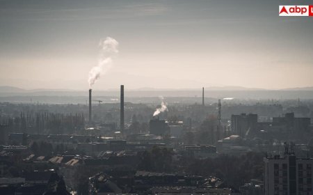 Air Pollution Effects On Brain: सावधान! वायु प्रदूषण से कमजोर होती है याददाश्त, दिमाग को भी पहुंच रहा भारी नुकसान