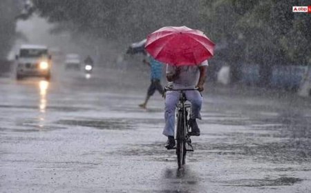 Monsoon Update: पीक पर पहुंचा मॉनसून, दिल्ली,  यूपी-बिहार में कब होगी भयंकर बारिश, मौसम विभाग ने बता दी तारीख