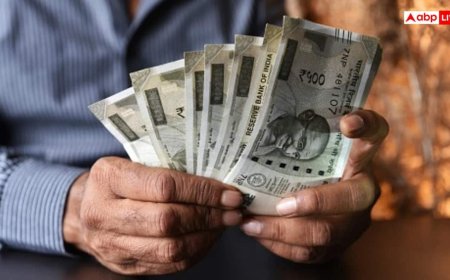 हमेशा के लिए काम से छुट्टी! जानिए क्या है वो 'फ्रीडम नंबर' जो आपको जवानी में कर देगा रिटायर