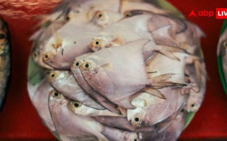 Best Fish for Children: बच्चों के खाने के लिए बेस्ट है ये पांच मछलियां, न के बराबर होते हैं कांटे