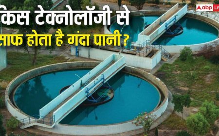 कैसे काम करता है STP, गंदे पानी को किस तकनीक से करता है साफ?