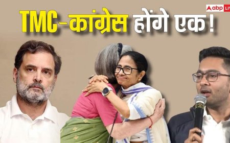 कांग्रेस में होगा TMC का विलय? अटकलों के बीच राहुल गांधी से मिले अभिषेक बनर्जी