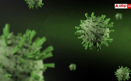 Ghaziabad Polio Virus: गाजियाबाद के सीवेज के सैंपल में मिला पोलियो वायरस, जानें यह कंडीशन कितनी खतरनाक?
