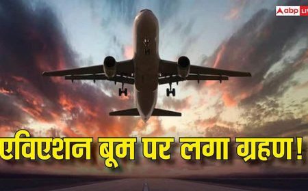 Aviation News: हवाई सफर पर ब्रेक! अचानक क्यों बंद हो रही हैं डोमेस्टिक फ्लाइट्स, उड़ानों में कटौती का कारण क्या?