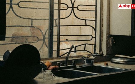 Kitchen Window Cleaning: महंगे क्लीनर भी फेल! किचन की काली-चिपचिपी खिड़की को चमका देगा रसोई का यह एक आसान नुस्खा