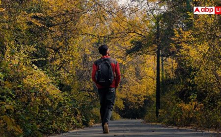 Daily Walking Distance: एक दिन में कितने किलोमीटर चलना होता है ठीक, इससे ज्यादा चले तो कितना खतरा?