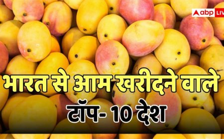Top Mango Importers: भारत के तोतापुरी, लंगड़ा, दशहरी का दुनिया दीवाना, लंदन से सऊदी तक है बड़ी डिमांड