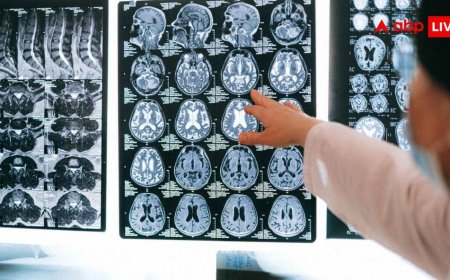 3D Atlas Human Brainstem: IIT मद्रास ने जारी किया इंसानी ब्रेनस्टेम का 3D एटलस, मेडिकल साइंस के लिए कितना खास?
