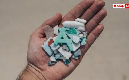 Microplastics vs Fertility: इस वजह से आपके घर में पैदा नहीं हो रहे बच्चे, पुरुषों और महिलाओं में लगातार बढ़ रहा बांझपन