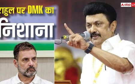 'Big Joke, नया खिलौना मिलते ही...', गठबंधन टूटने के बाद राहुल गांधी पर फायर हुई DMK, लगाए ये आरोप